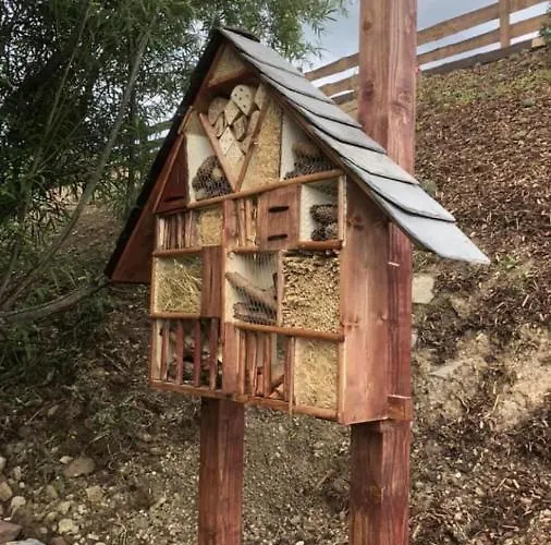 Chilllout Daun-kradenbach Vakantiehuis Kradenbach