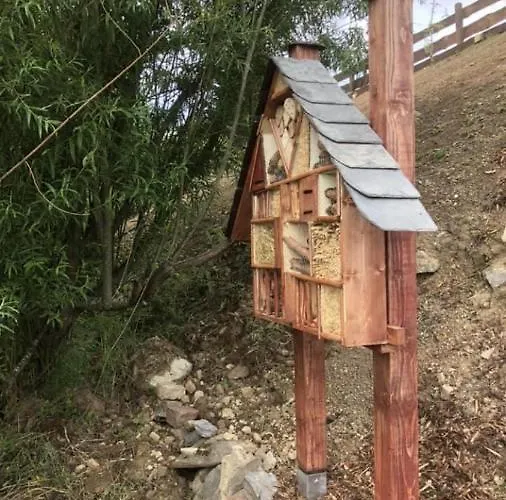 Chilllout Daun-kradenbach *